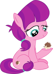 Size: 1153x1606 | Tagged: safe, artist:dindu norgay, lily longsocks, earth pony, hedgehog, pony, female, filly, simple background, transparent background