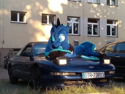 Size: 960x720 | Tagged: safe, princess luna, alicorn, pony, car, ford, ford probe, giant plushie, giant pony, macro, mega luna, photo, plushie, poland