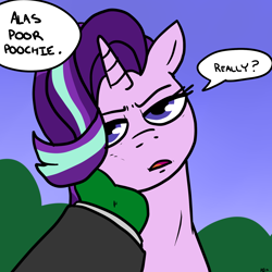 Size: 1800x1800 | Tagged: safe, artist:pony quarantine, starlight glimmer, oc, oc:anon, human, pony, unicorn, dialogue, duo, offscreen character, poochie, pov, shakespeare, solo focus, starlight is not amused, unamused