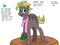 Size: 1600x1200 | Tagged: safe, artist:pony quarantine, oc, oc only, oc:gabby gust, pegasus, pony, braces, clothes, female, mare, reference sheet, scarf, simple background, solo, transparent background