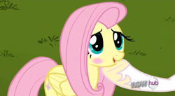 Size: 851x467 | Tagged: safe, screencap, fluttershy, princess celestia, alicorn, pegasus, pony, keep calm and flutter on, blushing, hooves, hub logo, smiling, solo focus