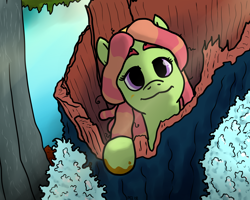 Size: 1500x1200 | Tagged: safe, artist:pony quarantine, tree hugger, earth pony, pony, bandana, dreadlocks, forest, fungus, leaves, looking at you, moss, mud, smiling, solo, tree stump, wood