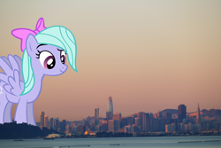 Size: 1980x1320 | Tagged: safe, flitter, pony, female, giant pony, highrise ponies, irl, macro, photo, ponies in real life, san francisco