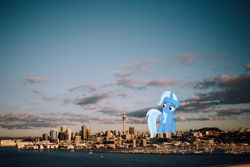 Size: 3840x2560 | Tagged: safe, artist:reginault, trixie, pony, unicorn, auckland, female, giant pony, giantess, highrise ponies, irl, macro, new zealand, photo, ponies in real life