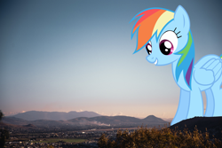 Size: 1280x853 | Tagged: safe, rainbow dash, pegasus, pony, giant pony, highrise ponies, irl, macro, photo, ponies in real life, village