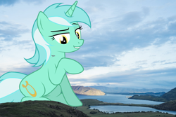 Size: 2400x1600 | Tagged: safe, lyra heartstrings, pony, unicorn, female, giant pony, highrise ponies, irl, macro, mare, photo, plane, ponies in real life, valley, water
