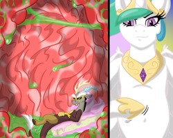 Size: 1000x800 | Tagged: safe, artist:noblebrony317, discord, princess celestia, alicorn, draconequus, pony, belly button, eaten alive, female, fetish, hoof on belly, internal, male, mare, micro, princess vorestia, stomach, stomach acid, sunglasses, vore