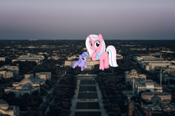 Size: 3840x2560 | Tagged: safe, artist:cheezedoodle96, artist:jhayarr23, clear sky, wind sprint, pegasus, pony, unicorn, capitol, female, filly, giant pony, highrise ponies, irl, macro, mare, photo, ponies in real life, show accurate, washington d.c.