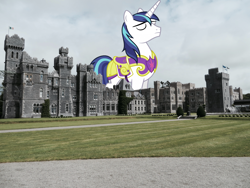 Size: 2000x1500 | Tagged: safe, shining armor, pony, unicorn, castle, giant pony, highrise ponies, ireland, irl, macro, male, photo, ponies in real life