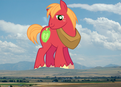 Size: 1435x1037 | Tagged: safe, artist:dashiesparkle, big macintosh, earth pony, pony, farm, giant pony, highrise ponies, irl, macro, male, photo, ponies in real life, really big mac, utah