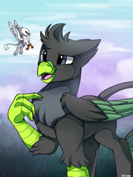 Size: 1234x1640 | Tagged: safe, artist:breioom, oc, oc only, oc:der, oc:lighting fluff, griffon, duo, flying, micro, open mouth