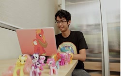 Size: 500x315 | Tagged: safe, big macintosh, fluttershy, pinkie pie, princess celestia, rainbow dash, rarity, twilight sparkle, human, brushable, glasses, irl, irl human, macbook, photo, singapore, toy