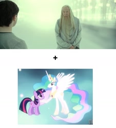 Size: 1280x1418 | Tagged: safe, princess celestia, twilight sparkle, unicorn twilight, alicorn, pony, unicorn, magical mystery cure, albus dumbledore, exploitable meme, harry potter, make it happen, meme, the void, void