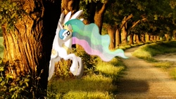 Size: 1280x720 | Tagged: safe, artist:colorfulbrony, princess celestia, forest, irl, photo, ponies in real life, solo