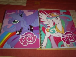 Size: 1024x768 | Tagged: safe, princess celestia, princess luna, alicorn, pony, crown, dear-princesscelestia, female, horn, jewelry, mare, notebook, regalia, siblings, sisters