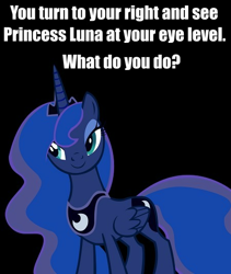 Size: 450x532 | Tagged: safe, princess luna, alicorn, pony, female, horn, mare, meta, solo, text