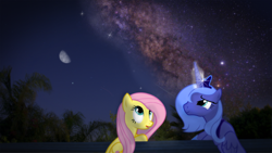 Size: 960x540 | Tagged: safe, fluttershy, princess luna, pony, irl, moon, night, photo, ponies in real life, stars