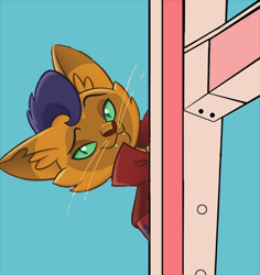 Size: 540x573 | Tagged: safe, derpibooru import, capper dapperpaws, abyssinian, anthro, cat, my little pony: the movie, clothes, male, meme, solo, that fucking cat, tom and jerry