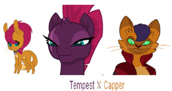 Size: 861x457 | Tagged: safe, artist:strawberryparty, derpibooru import, capper dapperpaws, tempest shadow, oc, abyssinian, anthro, my little pony: the movie, parent:capper, parent:tempest shadow, parents:tapper, tapper