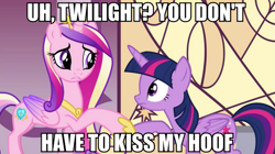 Size: 891x500 | Tagged: safe, screencap, princess cadance, twilight sparkle, twilight sparkle (alicorn), alicorn, pony, female, hoof fetish, image macro, mare, meme