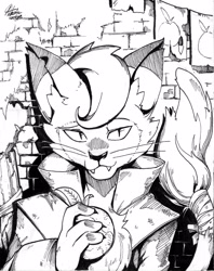 Size: 3276x4135 | Tagged: safe, artist:alts-art, derpibooru import, capper dapperpaws, abyssinian, anthro, cat, my little pony: the movie, brick wall, bust, fruit, grayscale, inktober, looking at you, male, monochrome, solo, traditional art