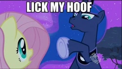 Size: 640x360 | Tagged: safe, edit, edited screencap, screencap, fluttershy, princess luna, alicorn, pegasus, pony, luna eclipsed, female, hoof fetish, hub logo, image macro, mare, meme, text