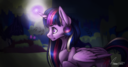 Size: 1024x541 | Tagged: safe, artist:amberswirl, artist:boneswolbach, twilight sparkle, twilight sparkle (alicorn), alicorn, pony, everfree forest, forest, lens flare, magic, night, signature, solo