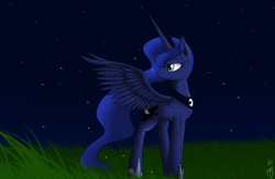 Size: 2000x1300 | Tagged: safe, artist:kyroking, princess luna, alicorn, pony, grass, looking back, night, solo