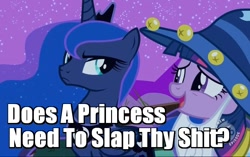 Size: 828x521 | Tagged: safe, edit, edited screencap, screencap, princess luna, twilight sparkle, alicorn, pony, luna eclipsed, clothes, costume, duo, hub logo, image macro, nightmare night costume, star swirl the bearded costume