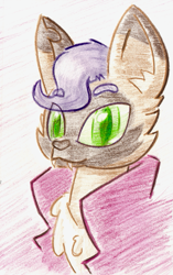 Size: 571x909 | Tagged: safe, artist:shoeunit, derpibooru import, capper dapperpaws, anthro, cat, my little pony: the movie, bust, colored pencil drawing, male, portrait, solo, traditional art