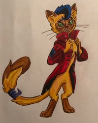 Size: 1993x2508 | Tagged: safe, artist:bozzerkazooers, derpibooru import, capper dapperpaws, abyssinian, anthro, cat, digitigrade anthro, my little pony: the movie, clothes, male, simple background, solo, traditional art, white background