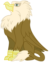 Size: 3000x3762 | Tagged: safe, artist:boneswolbach, oc, oc only, griffon, .ai available, griffon oc, male, simple background, sitting, solo, transparent background, unnamed oc, vector