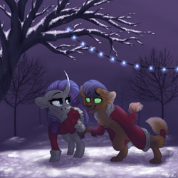 Size: 1500x1500 | Tagged: safe, artist:kittyx-galaxy, derpibooru import, capper dapperpaws, rarity, abyssinian, pony, unicorn, capperity, clothes, curved horn, ear fluff, female, horn, lidded eyes, looking at each other, male, night, open mouth, shipping, snow, straight, string lights, winter