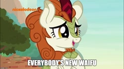 Size: 888x499 | Tagged: safe, edit, edited screencap, screencap, autumn blaze, kirin, sounds of silence, spoiler:s08, awwtumn blaze, cute, image macro, meme, nickelodeon, solo, waifu