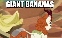 Size: 868x535 | Tagged: safe, edit, edited screencap, screencap, autumn blaze, kirin, sounds of silence, spoiler:s08, banana, female, food, giant produce, image macro, meme, solo