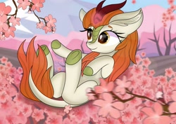 Size: 2560x1810 | Tagged: safe, artist:janelearts, autumn blaze, kirin, awwtumn blaze, cherry blossoms, cute, ear fluff, flower, flower blossom, glowing horn, horn, looking at something, on back, outdoors, reaching, sakura tree, smiling, solo, three quarter view