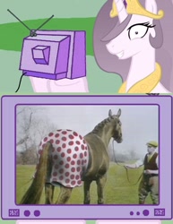 Size: 578x750 | Tagged: safe, princess celestia, alicorn, horse, pony, exploitable meme, meme, monty python, monty python's flying circus, princess molestia, tv meme