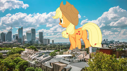 Size: 3200x1800 | Tagged: safe, artist:luckreza8, artist:theotterpony, edit, applejack, earth pony, pony, city, cowboy hat, cutie mark, female, freckles, giant pony, hat, highrise ponies, irl, macro, mare, open mouth, photo, ponies in real life, scenery, solo, stetson, story in the source, story included, vector, vector edit