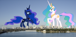 Size: 1000x483 | Tagged: safe, princess celestia, princess luna, alicorn, pony, city, crown, duo, female, giant alicorn, giant pony, giantess, giantlestia, highrise ponies, irl, jewelry, macro, mare, mega celestia, mega luna, photo, ponies in real life, raised hoof, regalia, royal sisters, siblings, sisters