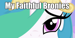 Size: 845x431 | Tagged: safe, princess celestia, alicorn, pony, bedroom eyes, brony, bronybait, eyes, fourth wall, hypnosis, hypnosis ponies, solo