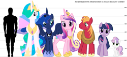 Size: 1127x504 | Tagged: safe, artist:furryfan87243, big macintosh, princess cadance, princess celestia, princess luna, sweetie belle, twilight sparkle, unicorn twilight, earth pony, human, pony, unicorn, height difference, height meter, line-up, male, size chart, size comparison, stallion, text