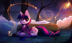 Size: 2480x1479 | Tagged: safe, artist:magnaluna, derpibooru import, twilight sparkle, twilight sparkle (alicorn), alicorn, pony, book, braided tail, clothes, cutie mark, female, forest, grass, horn, log, lying, lying down, mare, night, open mouth, prone, scarf, scenery, scenery porn, solo, wings