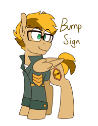 Size: 516x666 | Tagged: safe, artist:redxbacon, derpibooru import, oc, oc only, oc:bump sign, pegasus, pony, clothes, glasses, jacket, solo