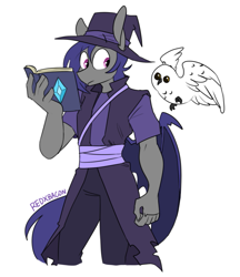 Size: 659x761 | Tagged: safe, artist:redxbacon, derpibooru import, oc, oc:dusk rhine, anthro, bat pony, owl, book, hat, male, robes, solo, spellbook