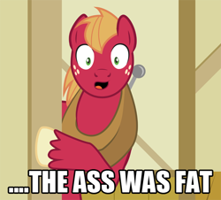 Size: 640x578 | Tagged: safe, big macintosh, earth pony, pony, arthur, image macro, male, meme, parody, stallion, the ass was fat, vulgar