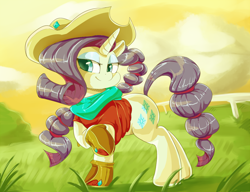 Size: 1000x769 | Tagged: safe, artist:sirmasterdufel, rarity, pony, unicorn, clothes, hat, solo