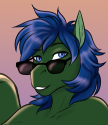 Size: 653x751 | Tagged: safe, artist:blackblood-queen, derpibooru import, oc, oc only, oc:tankett venter, oc:tankton venter, bust, cropped, genderfluid, looking at you, solo, sunglasses