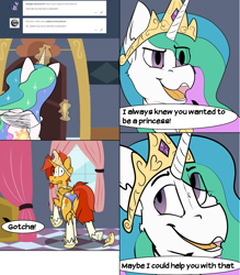 Size: 1549x1767 | Tagged: safe, artist:starrypallet, princess celestia, sunburst, alicorn, pony, alicornification, ask, ask princess sunburst, clothes, crossdressing, girly, male, panties, princess sunburst, stallion, text, trollestia, tumblr, underwear