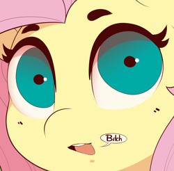 Size: 1581x1553 | Tagged: safe, artist:evehly, derpibooru import, fluttershy, pegasus, pony, bitch, dialogue, female, looking at you, mare, open mouth, out of character, solo, speech bubble, vulgar