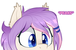 Size: 1000x650 | Tagged: safe, artist:higglytownhero, derpibooru import, oc, oc only, oc:sweet tooth, bat pony, pony, colored pupils, cute, misspelling, peeking, simple background, solo, transparent background